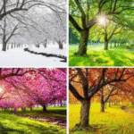 Các Mùa Trong Năm Ở Việt Nam – Bức Tranh Thiên Nhiên Đa Sắc Màu