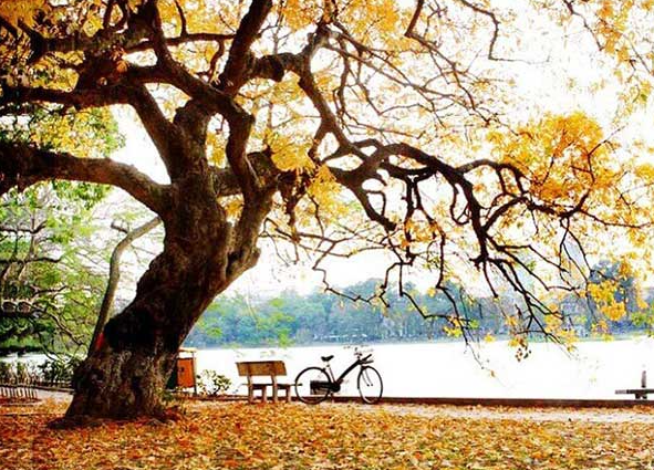 Người trẻ dạo phố mùa thu, ăn kem trong gió heo may.