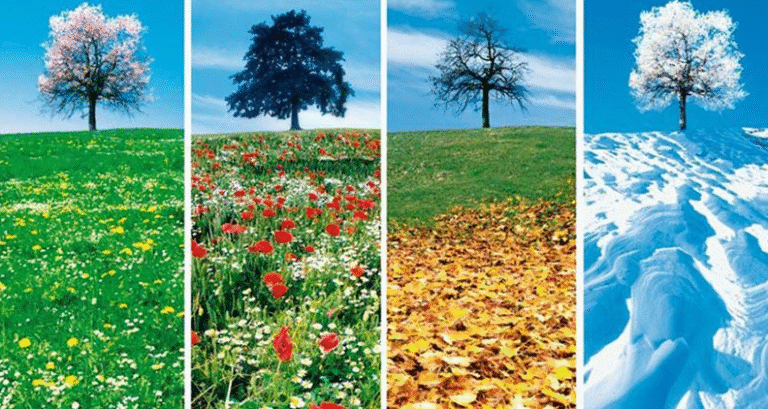 Khí Hậu Miền Bắc – Nét Đặc Trưng Của Thiên Nhiên Việt Nam