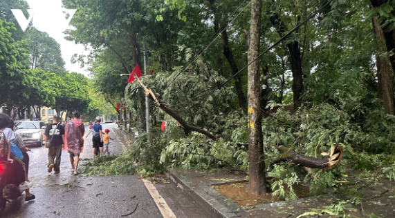 Hình ảnh mưa bão lớn tại Hà Nội, cây cối ngã đổ do thời tiết cực đoan.