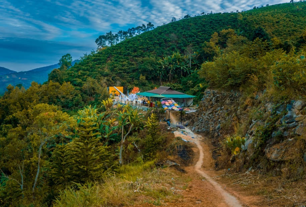 Con đường uốn lượn giữa đồi chè Bảo Lộc dẫn lên cổng chùa Linh Quy Pháp Ấn.