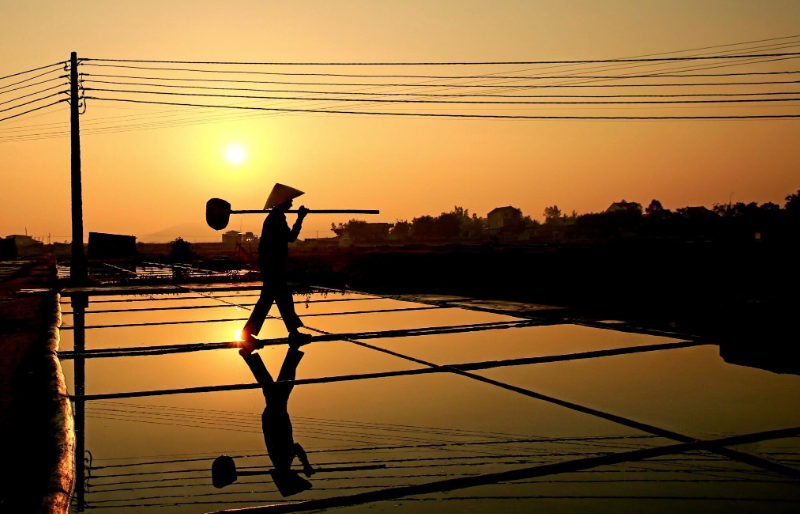 Hình ảnh người nông dân đang làm việc trên cánh đồng, ánh bình minh chiếu sáng phía Đông.