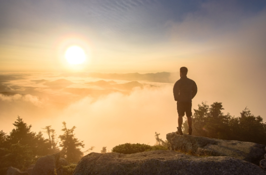 Đàn chim bay lên trong ánh bình minh, tượng trưng cho sự sống khởi đầu.