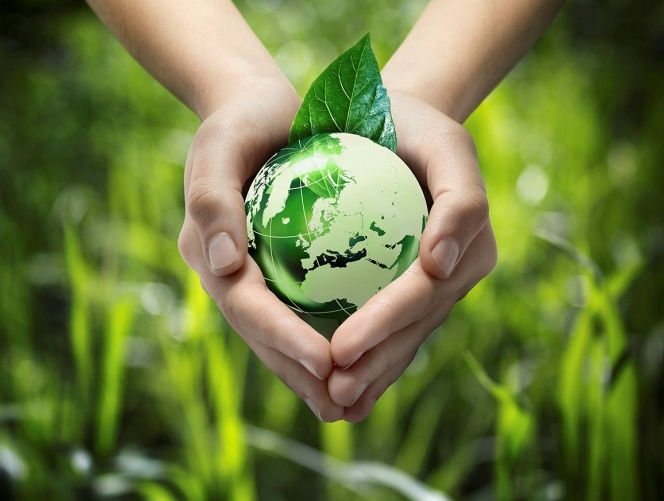 Hình ảnh Trái Đất xanh mát biểu tượng cho môi trường được hồi sinh sau nỗ lực bảo vệ của con người.