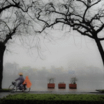 Mùa Đông Bắt Đầu Từ Tháng Mấy – Thời Khắc Chuyển Mình Của Thiên Nhiên