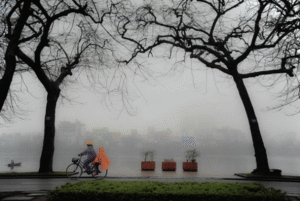 Mùa Đông Bắt Đầu Từ Tháng Mấy – Thời Khắc Chuyển Mình Của Thiên Nhiên