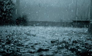 Mùa Mưa Bắt Đầu Từ Tháng Mấy – Hiểu Rõ Chu Kỳ Thiên Nhiên Để Ứng Phó Hiệu Quả