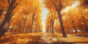 Mùa Thu Bắt Đầu Vào Tháng Mấy – Hành Trình Khám Phá Khoảnh Khắc Đẹp Nhất Trong Năm