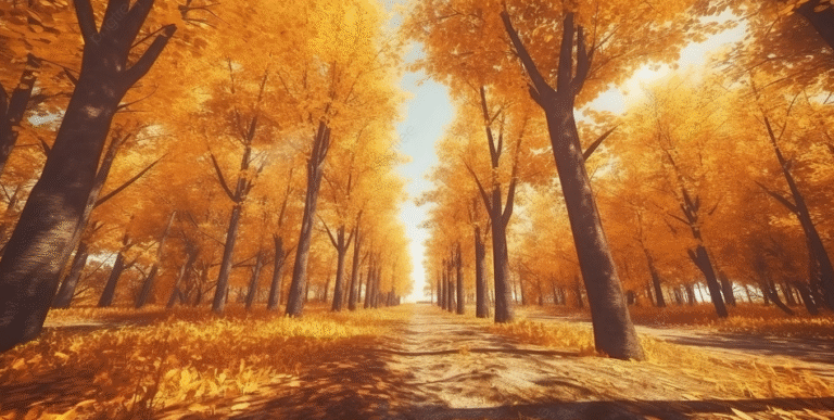 Mùa Thu Bắt Đầu Vào Tháng Mấy – Hành Trình Khám Phá Khoảnh Khắc Đẹp Nhất Trong Năm