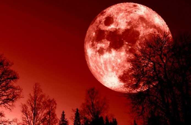 Cảnh bầu trời đầy sao với Mặt Trăng đỏ cam, biểu tượng cho sự kỳ diệu của nguyệt thực.