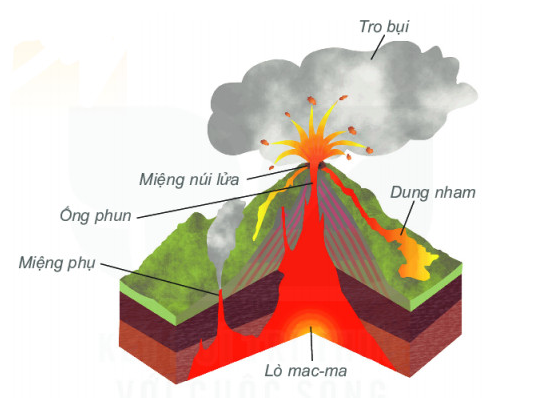 Cấu trúc minh họa bên trong một ngọn núi lửa – gồm buồng dung nham, ống phun và miệng núi.