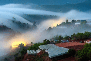 Sương Mù Là Gì – Hiện Tượng Tự Nhiên Ẩn Chứa Vẻ Đẹp Và Sự Huyền Bí