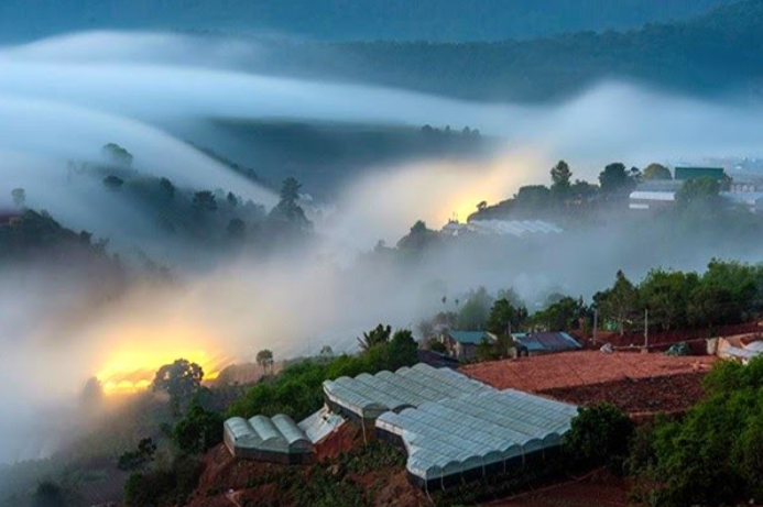 Sương Mù Là Gì – Hiện Tượng Tự Nhiên Ẩn Chứa Vẻ Đẹp Và Sự Huyền Bí