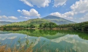 Thiên Hiên Là Gì – Giải Mã Ý Nghĩa, Nguồn Gốc Và Sức Hấp Dẫn Của Cụm Từ Đang Gây Sốt