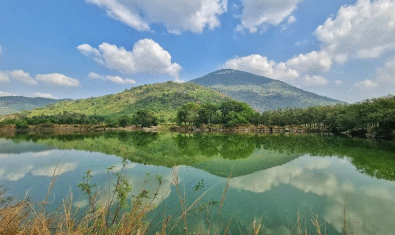 Thiên Hiên Là Gì – Giải Mã Ý Nghĩa, Nguồn Gốc Và Sức Hấp Dẫn Của Cụm Từ Đang Gây Sốt