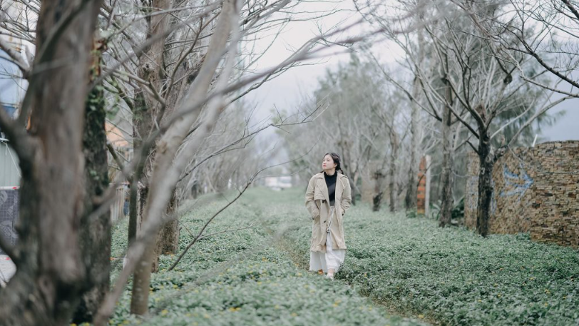 Con đường ven biển Võ Nguyên Giáp với hàng dừa nghiêng mình trong cơn gió mùa đông nhẹ.