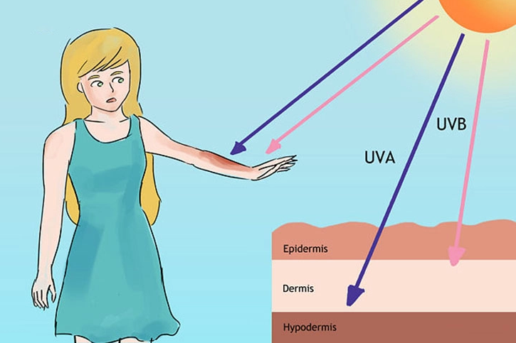 Ảnh minh họa tác động của tia cực tím lên da người, cây cối và sinh vật biển.