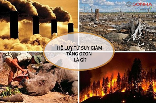 Hình ảnh minh họa mối liên hệ giữa thủng tầng ozon và hiện tượng biến đổi khí hậu toàn cầu.