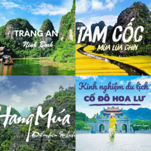 Danh Lam Thắng Cảnh Ninh Bình – Viên Ngọc Xanh Của Miền Bắc Việt Nam