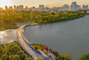 Khám Phá Cầu Phú Mỹ – Biểu Tượng Giao Thông Hiện Đại Của Sài Gòn