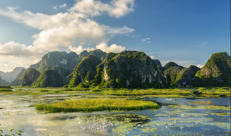 Đầm Vân Long – Vẻ Đẹp Nguyên Sơ Giữa Lòng Ninh Bình