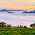 Đồi Chè Cầu Đất Đà Lạt – Vẻ Đẹp Xanh Giữa Cao Nguyên