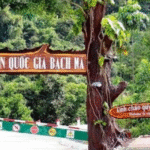 Vườn Quốc Gia Bạch Mã Huế – Thiên Đường Sinh Thái Giữa Miền Trung