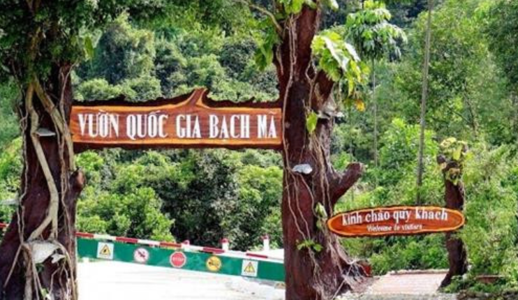 Vườn Quốc Gia Bạch Mã Huế – Thiên Đường Sinh Thái Giữa Miền Trung