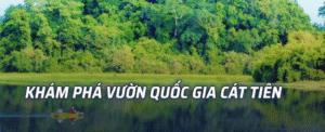 Vườn Quốc Gia Cat Tien: Khám Phá Thiên Nhiên Hùng Vĩ