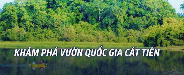Vườn Quốc Gia Cat Tien: Khám Phá Thiên Nhiên Hùng Vĩ