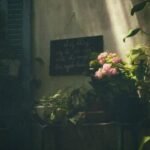 526+ Ảnh Chill Nhẹ Nhàng Thư Giãn Đẹp Xu Hướng