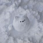 682+ Ảnh Cute Xinh Xắn Đáng Yêu Khiến Bạn Mê Mẩn