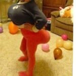 213+ Ảnh hài cực chất khiến bạn cười không ngừng