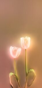 835+ Ảnh hoa tulip rực rỡ sắc màu đẹp mê lòng người