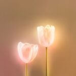 835+ Ảnh hoa tulip rực rỡ sắc màu đẹp mê lòng người