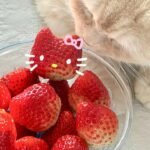 953+ Ảnh nền đt đẹp lung linh phù hợp mọi phong cách