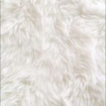 526+ Ảnh Trắng Tinh Khôi Tối Giản Đẹp Chuẩn Xu Hướng