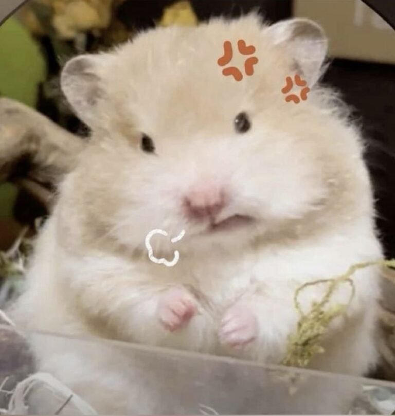 692+ Ảnh Vô Tri Độc Lạ Khiến Ai Cũng Bật Cười