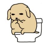 213+ Avatar hài vui nhộn mang lại tiếng cười mỗi ngày