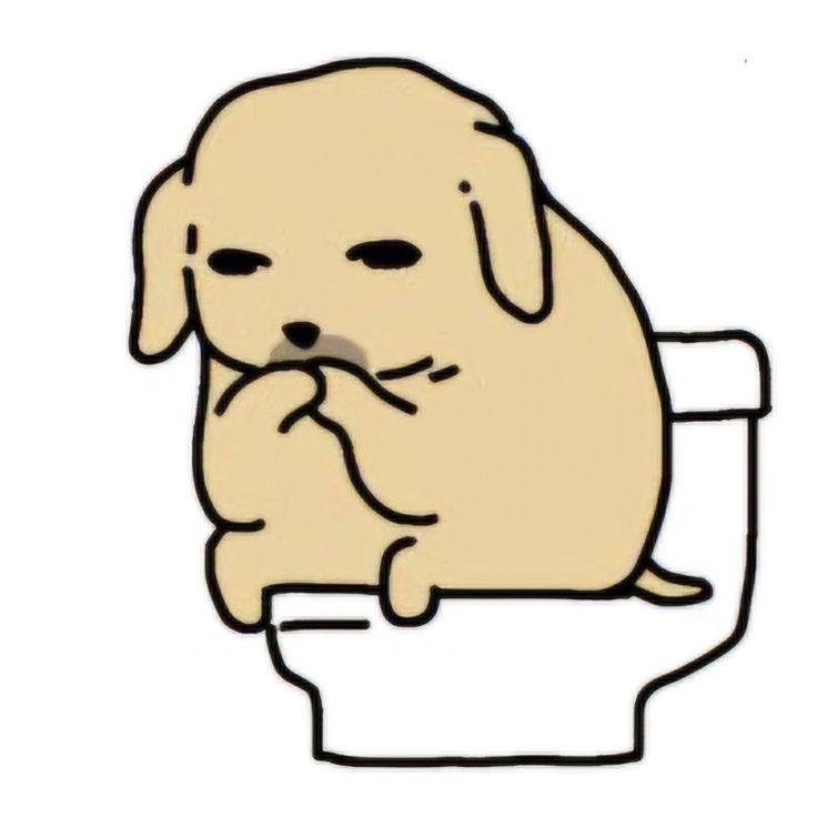 213+ Avatar hài vui nhộn mang lại tiếng cười mỗi ngày