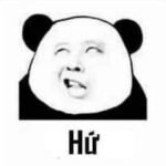 175+ Gấu Trúc Meme Hài Hước Khiến Bạn Bật Cười