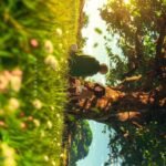 233+ Hình Ảnh Anime Đa Dạng Cho Người Yêu Anime