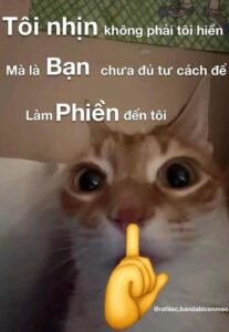 623+ Hình Ảnh Hài Hước Mang Lại Tiếng Cười