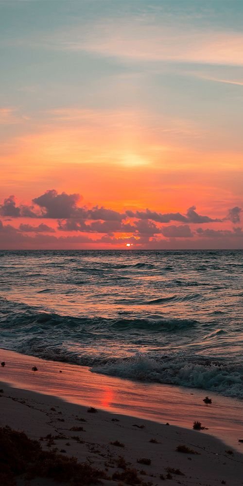 320+ Hình Nền Điện Thoại Phong Cảnh Đẹp Nhất Cho Màn Hình