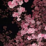 254+ Hình Nền iPhone 14 Đẹp Và Tinh Tế