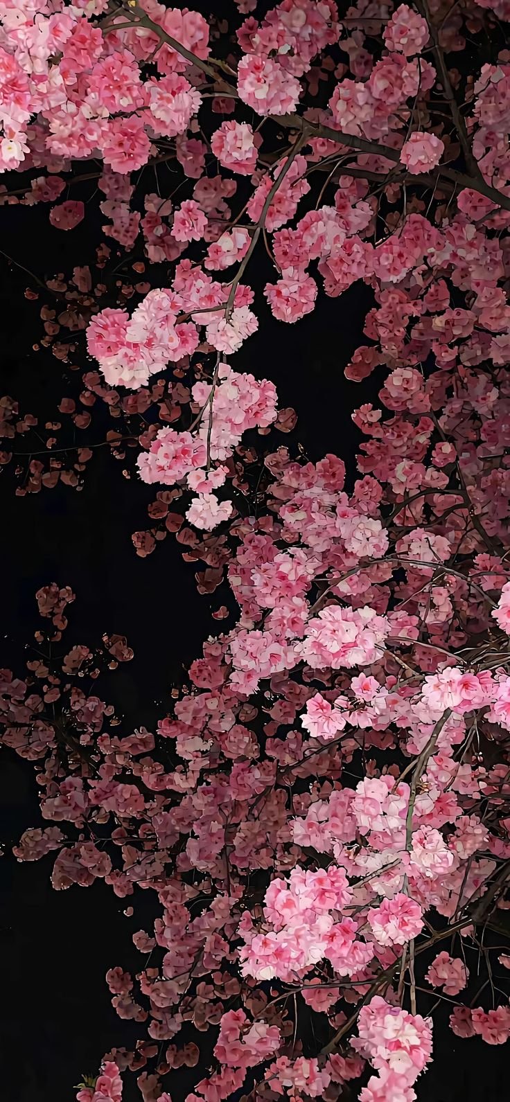 254+ Hình Nền iPhone 14 Đẹp Và Tinh Tế