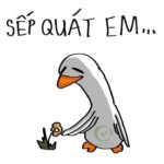 320+ Meme An Ủi Hài Hước Và Đáng Yêu