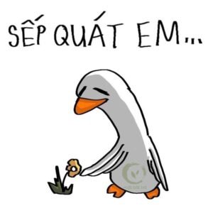 320+ Meme An Ủi Hài Hước Và Đáng Yêu
