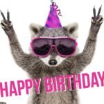 322+ Meme Chúc Mừng Sinh Nhật Hài Hước, Vui Nhộn Và Ngộ Nghĩnh