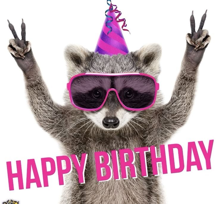 322+ Meme Chúc Mừng Sinh Nhật Hài Hước, Vui Nhộn Và Ngộ Nghĩnh